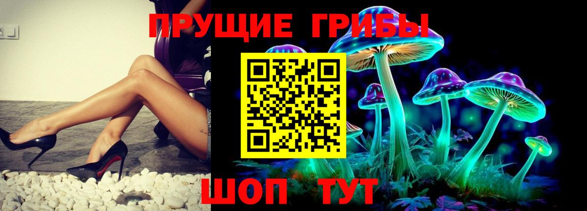 Псилоцибиновые грибы Psilocybine cubensis  Вход с VPN  Нижневартовск 